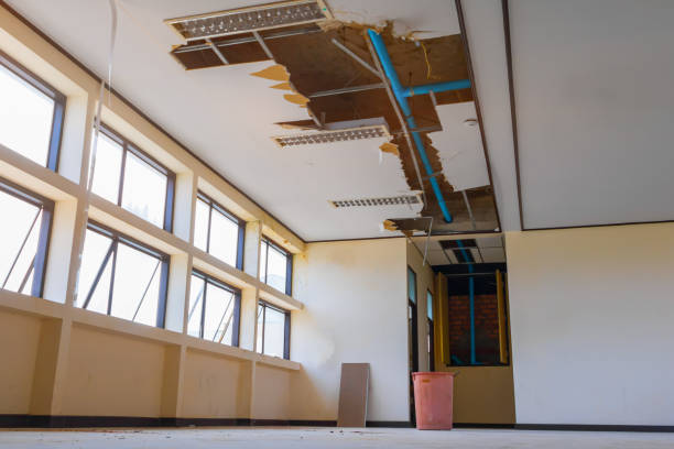 Best Water damage contractors near me  in Capitan, NM