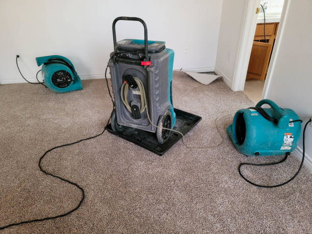 Best Flood damage cleanup  in Capitan, NM