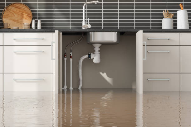 Best Water damage restoration near me  in Capitan, NM